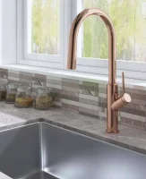 צילום מסך 2024-11-27 121359